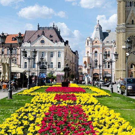 ! Promo! Central Evergreen Studio - Free Public Parking-Fast Wi-Fi Novi Sad Esterno foto